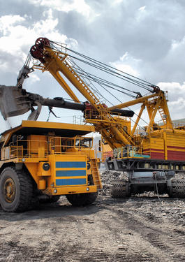 bureau veritas Minerals Processing  mining services