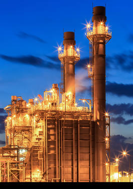 bureau veritas power & gas distribution