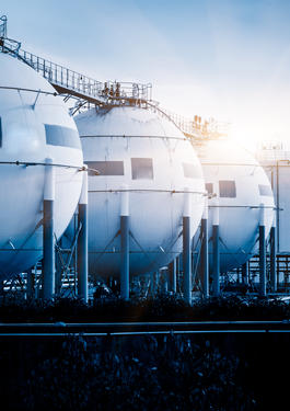 bureau veritas transportation & storage