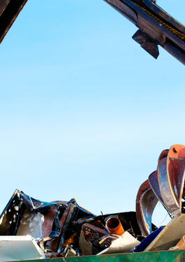 bureau veritas waste collection & treatment