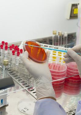 food laboratory testing